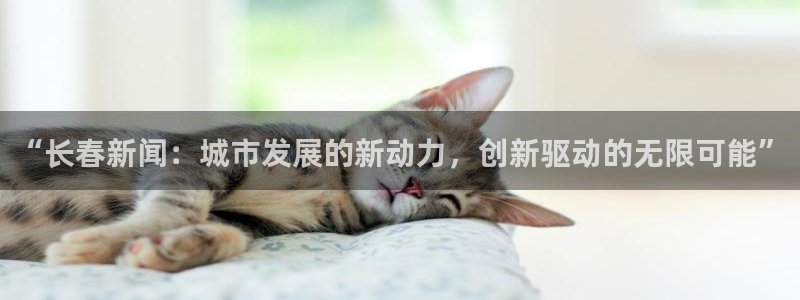 “长春新闻：城市发展的新动力，创新驱动的无限可能”