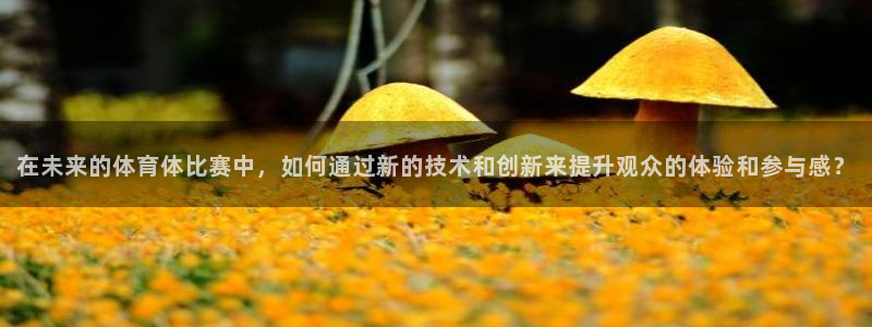 在未来的体育体比赛中，如何通过新的技术和创新来提升观众的体验和参与感？