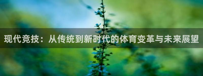 现代竞技：从传统到新时代的体育变革与未来展望