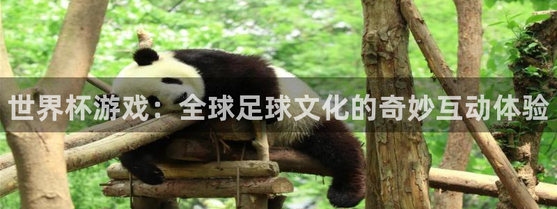 世界杯游戏：全球足球文化的奇妙互动体验