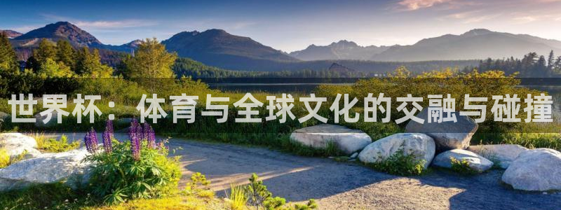 世界杯：体育与全球文化的交融与碰撞