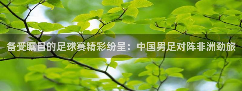 备受瞩目的足球赛精彩纷呈：中国男足对阵非洲劲旅