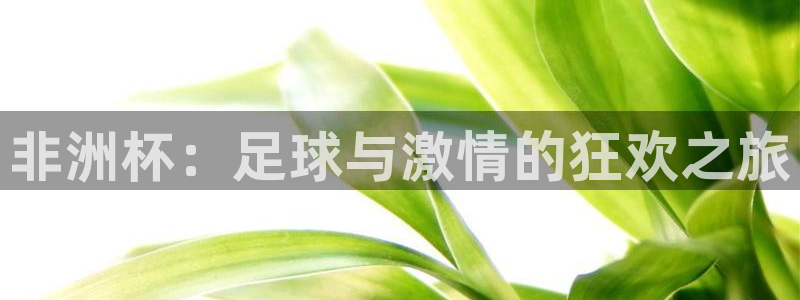 非洲杯：足球与激情的狂欢之旅