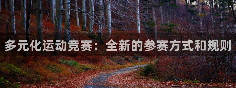 多元化运动竞赛：全新的参赛方式和规则