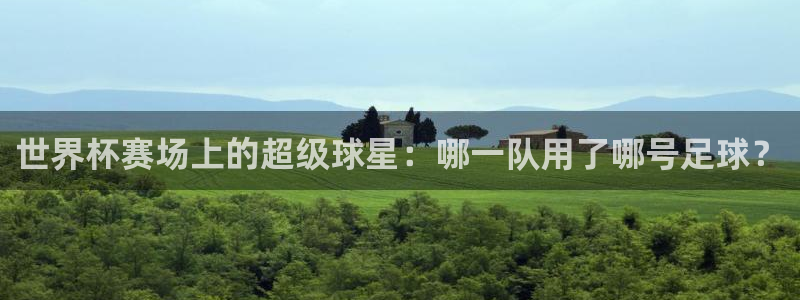 世界杯赛场上的超级球星：哪一队用了哪号足球？