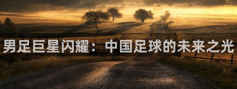 男足巨星闪耀：中国足球的未来之光