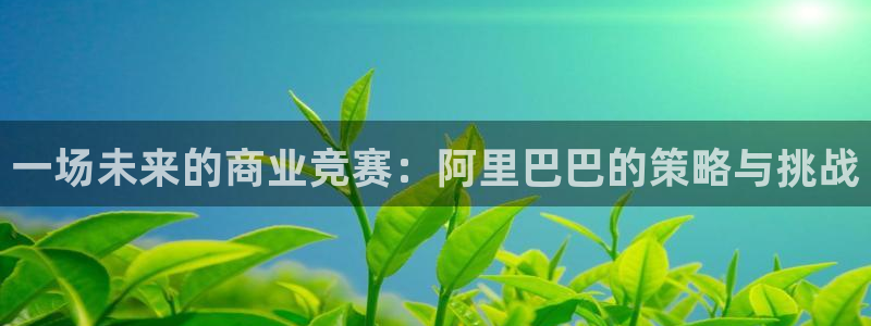 一场未来的商业竞赛：阿里巴巴的策略与挑战
